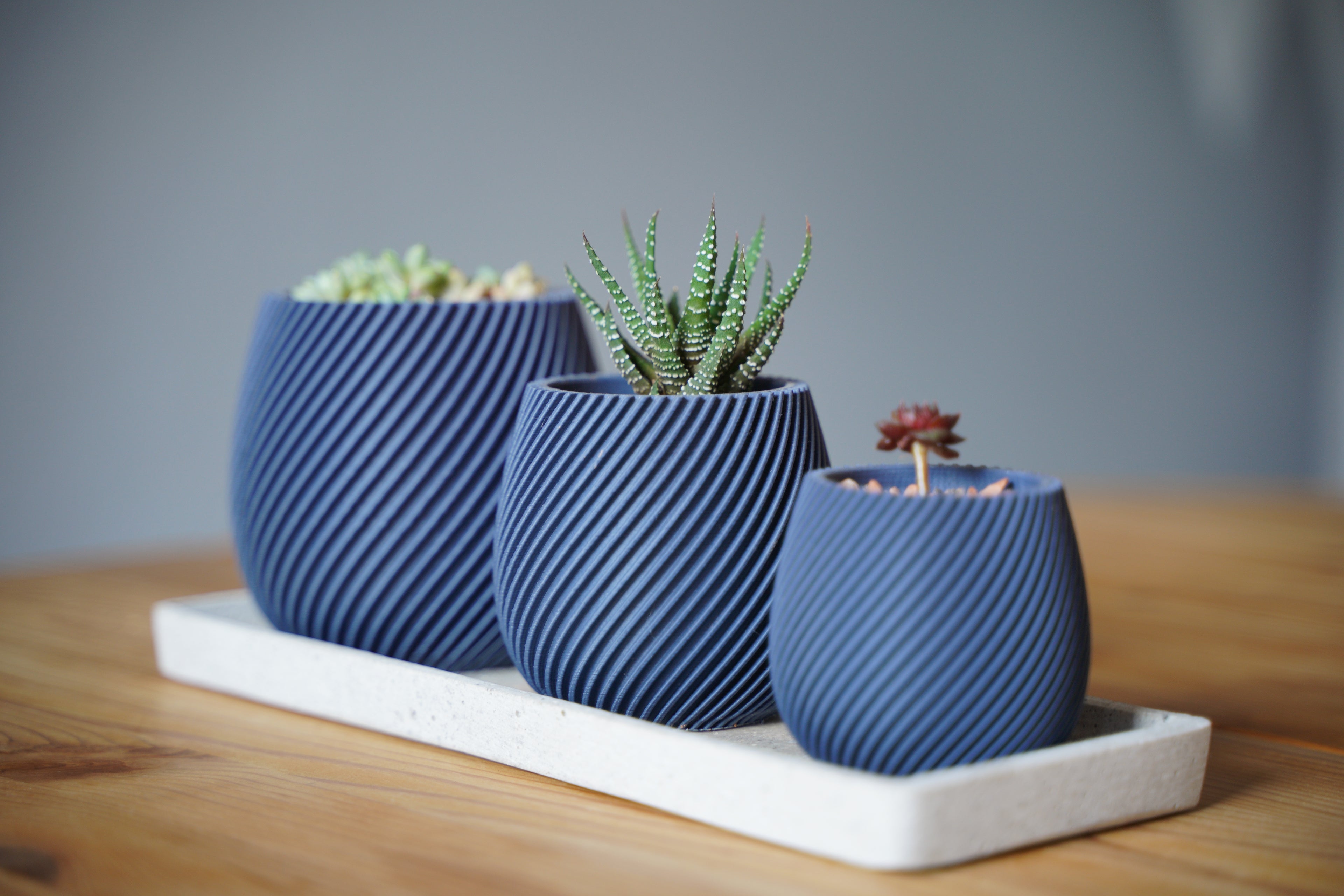 Spiral Trio Succulent Pots