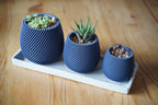 Spiral Trio Succulent Pots