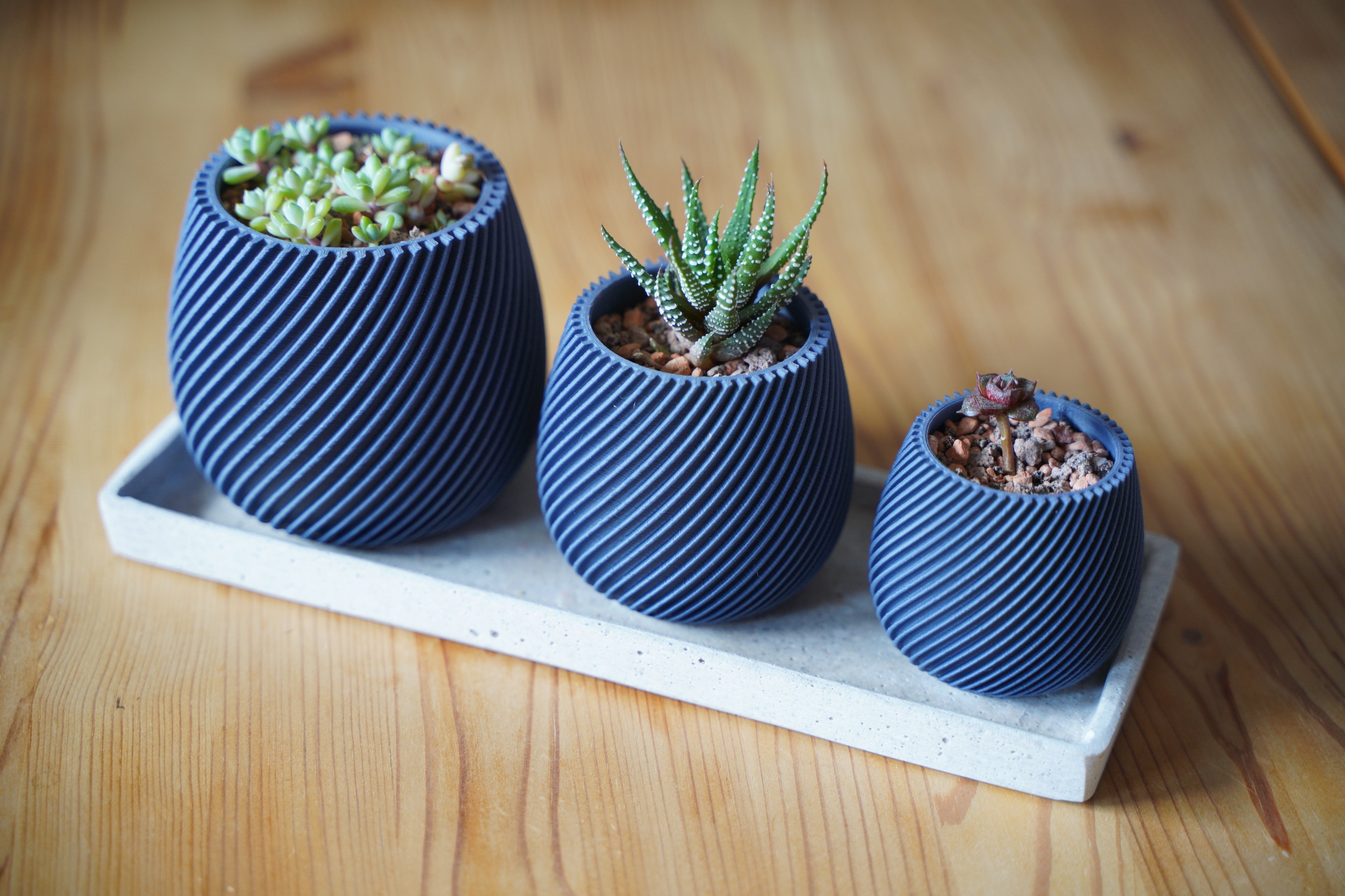 Spiral Trio Succulent Pots