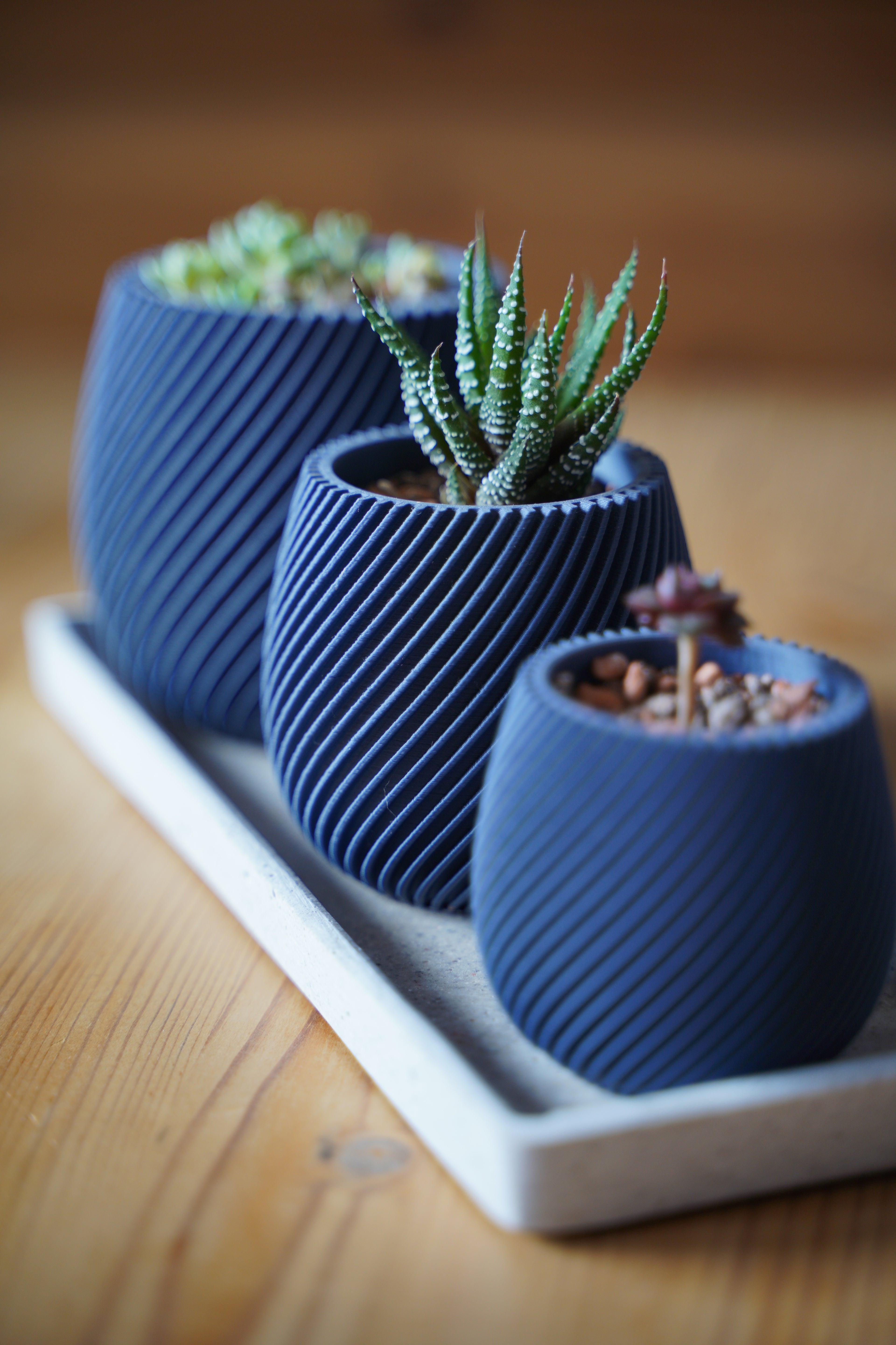 Spiral Trio Succulent Pots