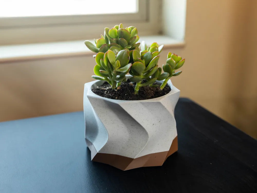 Twisted Succulent Pot