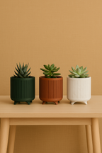 Groove Planter - Pack of 3