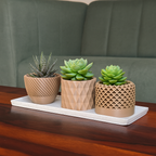 Geo succulent pot