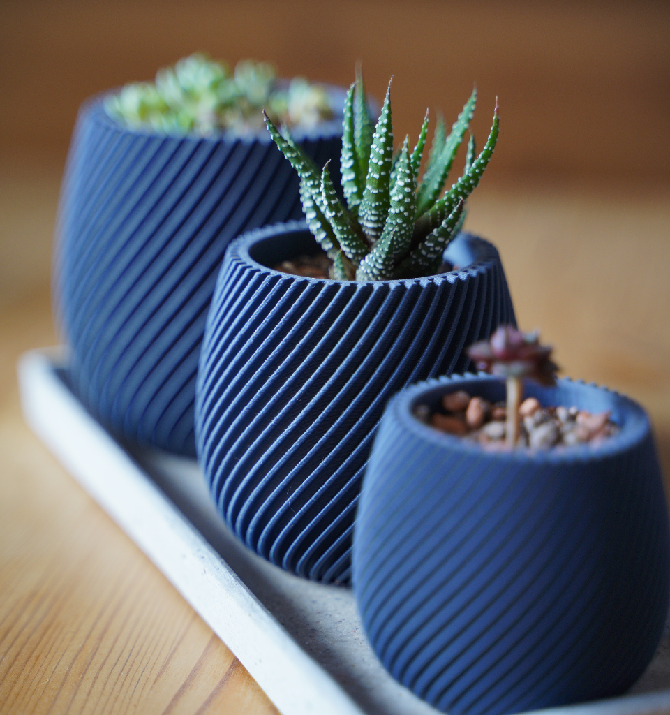 Spiral Trio Succulent Pots
