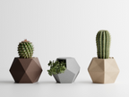 Hexa Succulent Pot - Set of 3