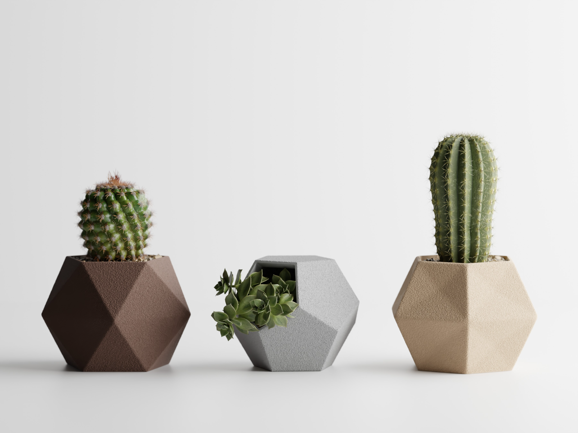 Hexa Succulent Pot - Set of 3