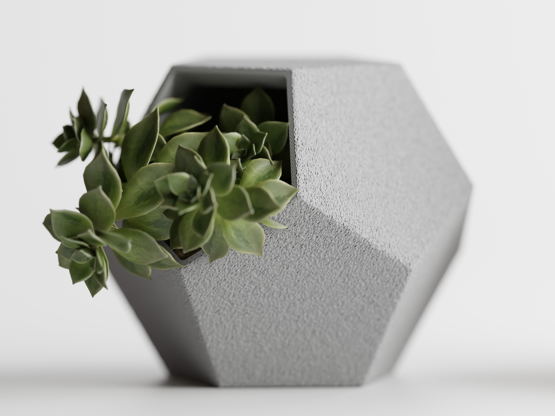 Hexa Succulent Pot - Set of 3