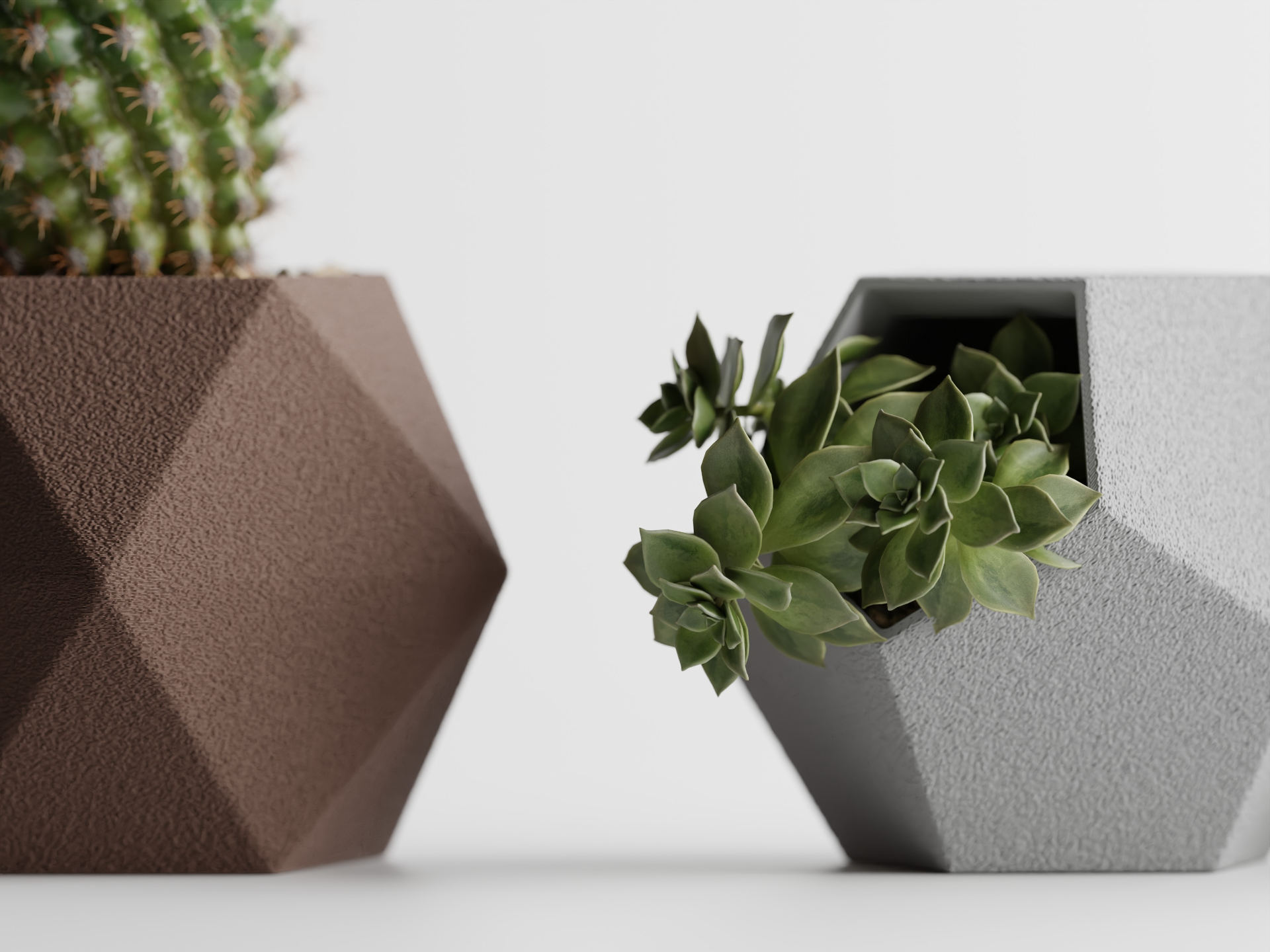 Hexa Succulent Pot - Set of 3
