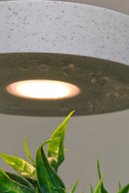 Aura Planter with soft-glow LED halo on a nightstand, creating a serene ambiance in a bedroom setting