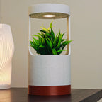 Aura Planter placed on a modern desk, demonstrating its suitability for home and office décor
