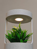 Aura Planter's simulated rain watering system in action, emphasizing its unique self-watering feature