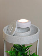 Aura Planter's LED halo providing gentle illumination, perfect for creating a calming atmosphere
