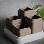 Bento Grid - Succulent Pots