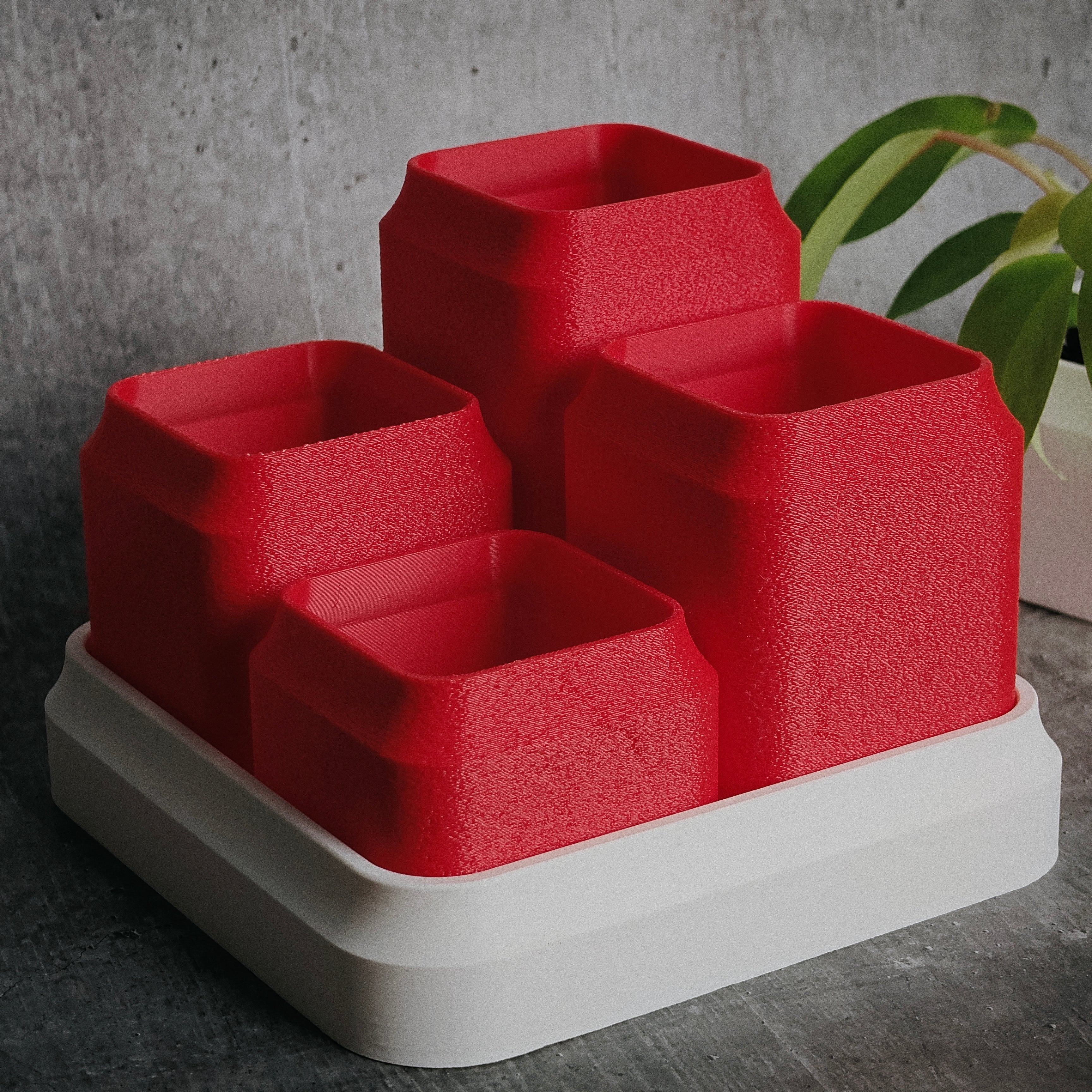 Bento Grid - Succulent Pots
