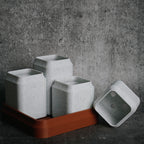 Bento Grid - Succulent Pots