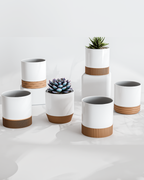 Jazz Pots - Set of 6 Pots - Stylish Indoor Pots