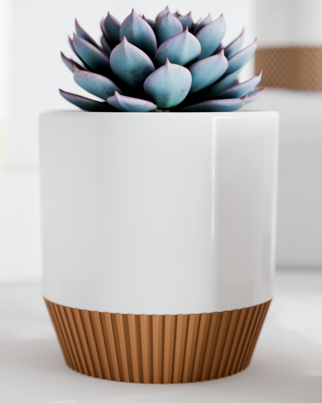 Jazz Pots - Set of 6 Pots - Stylish Indoor Pots