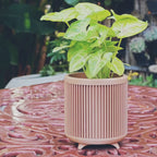 Groove Planter
